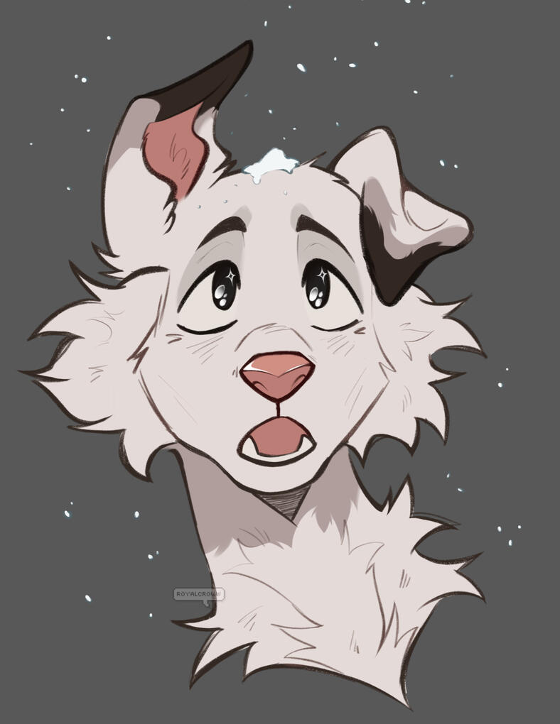 Lined + colored + shaded