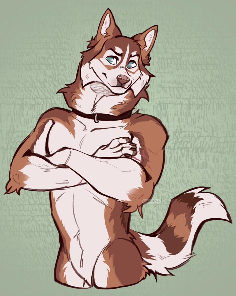 Lined + colored + shaded