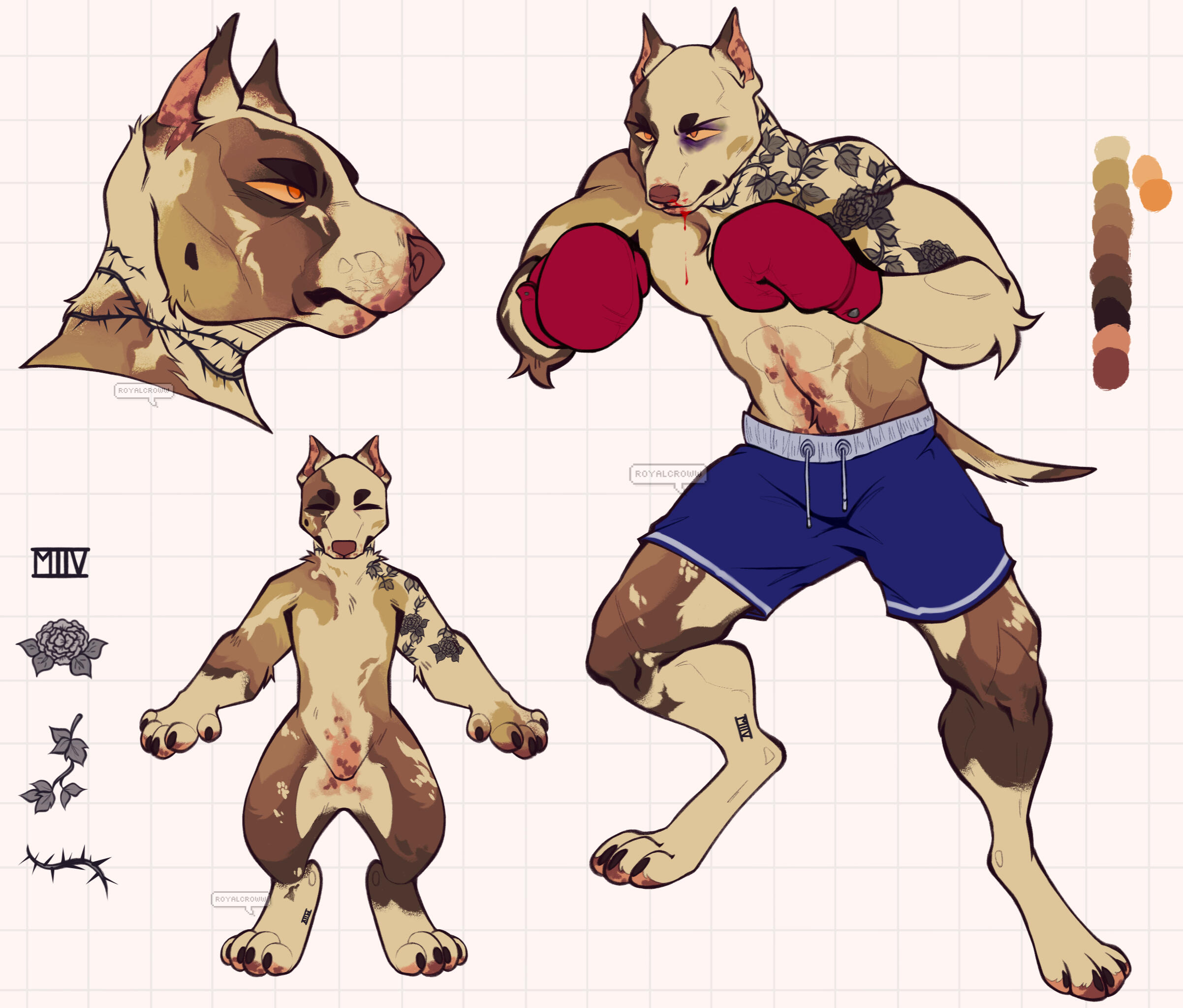 Lined + colored