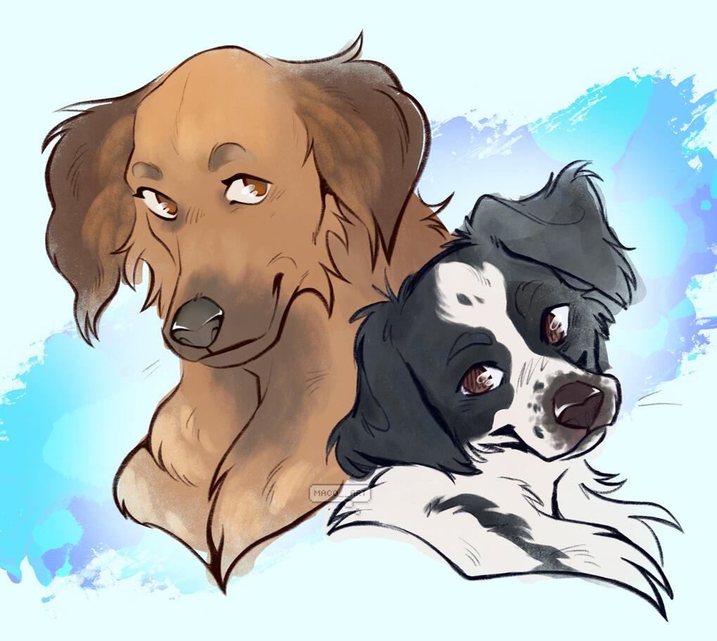 Lined + colored