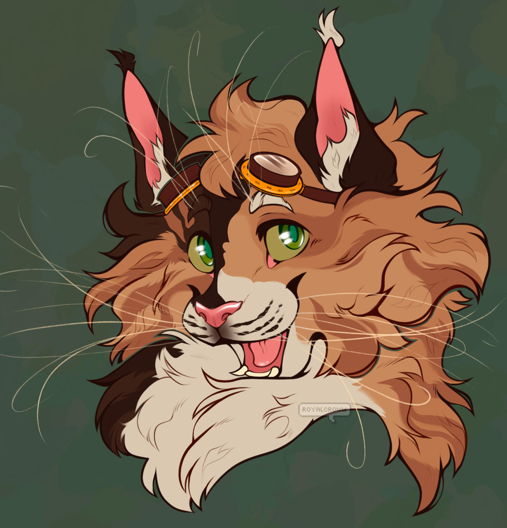 Lined + colored