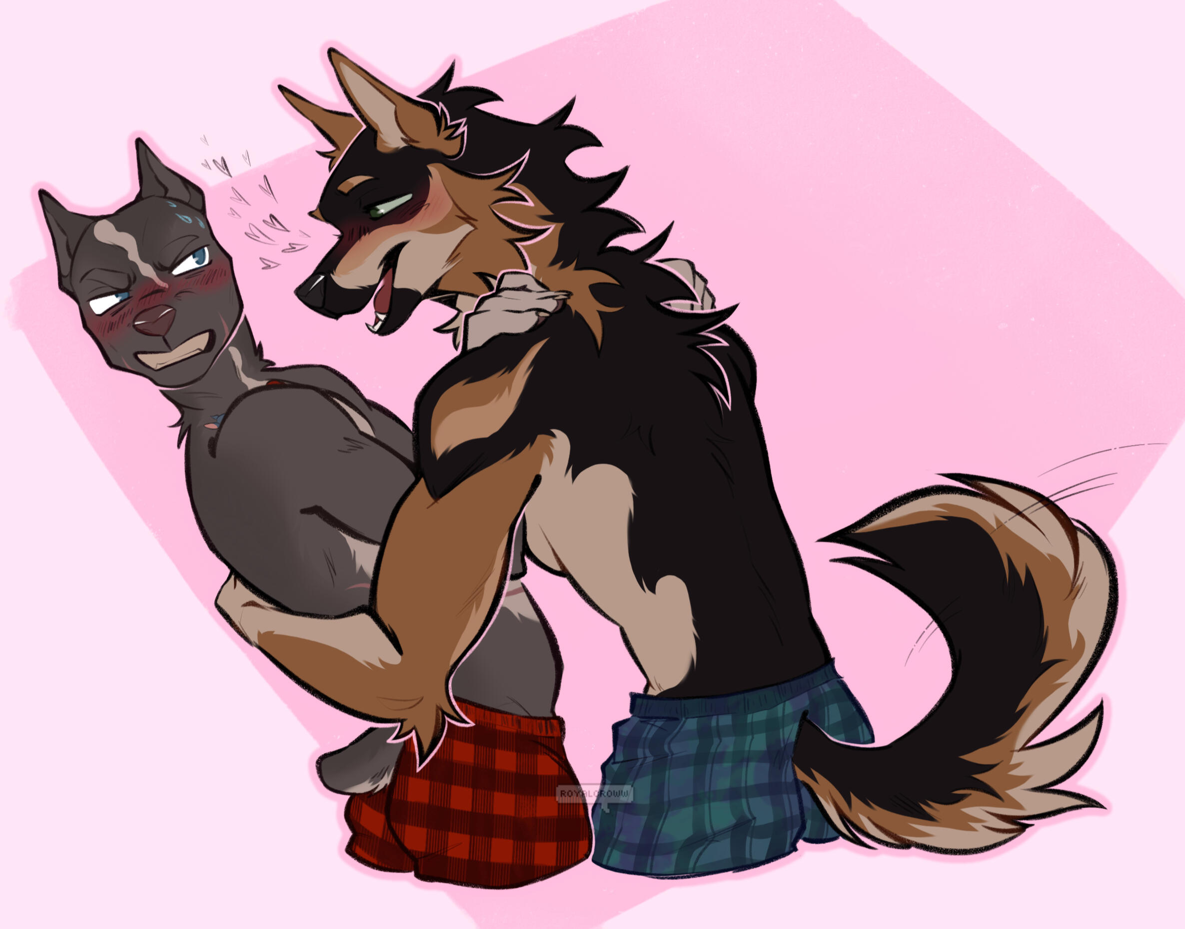 Lined + colored